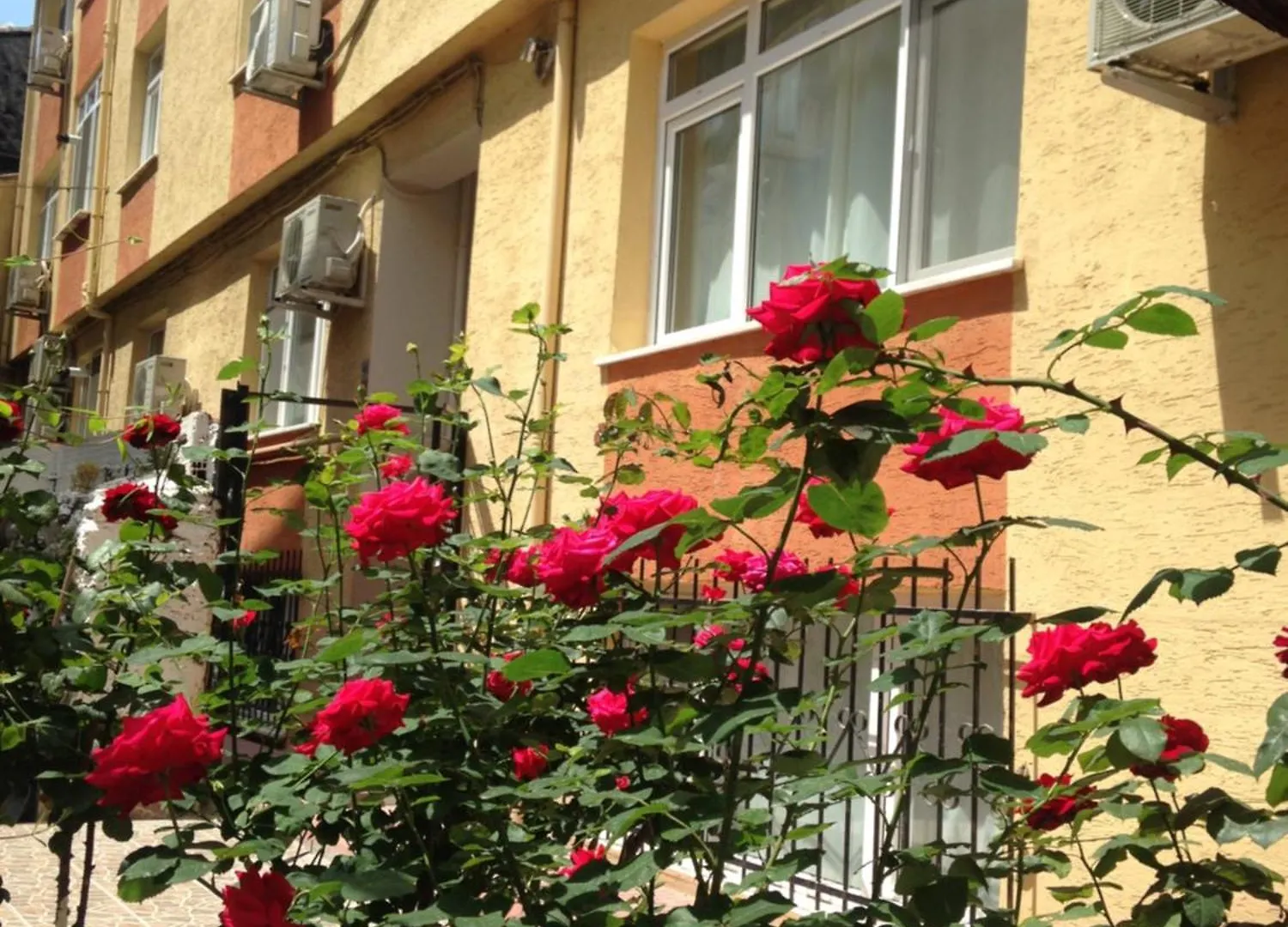 Sultanahmet Deluxe Yilmaz Apart Estambul